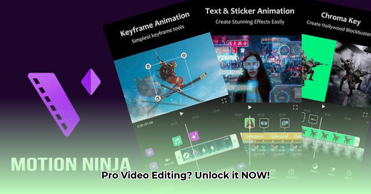 motion-ninja-mod-apk
